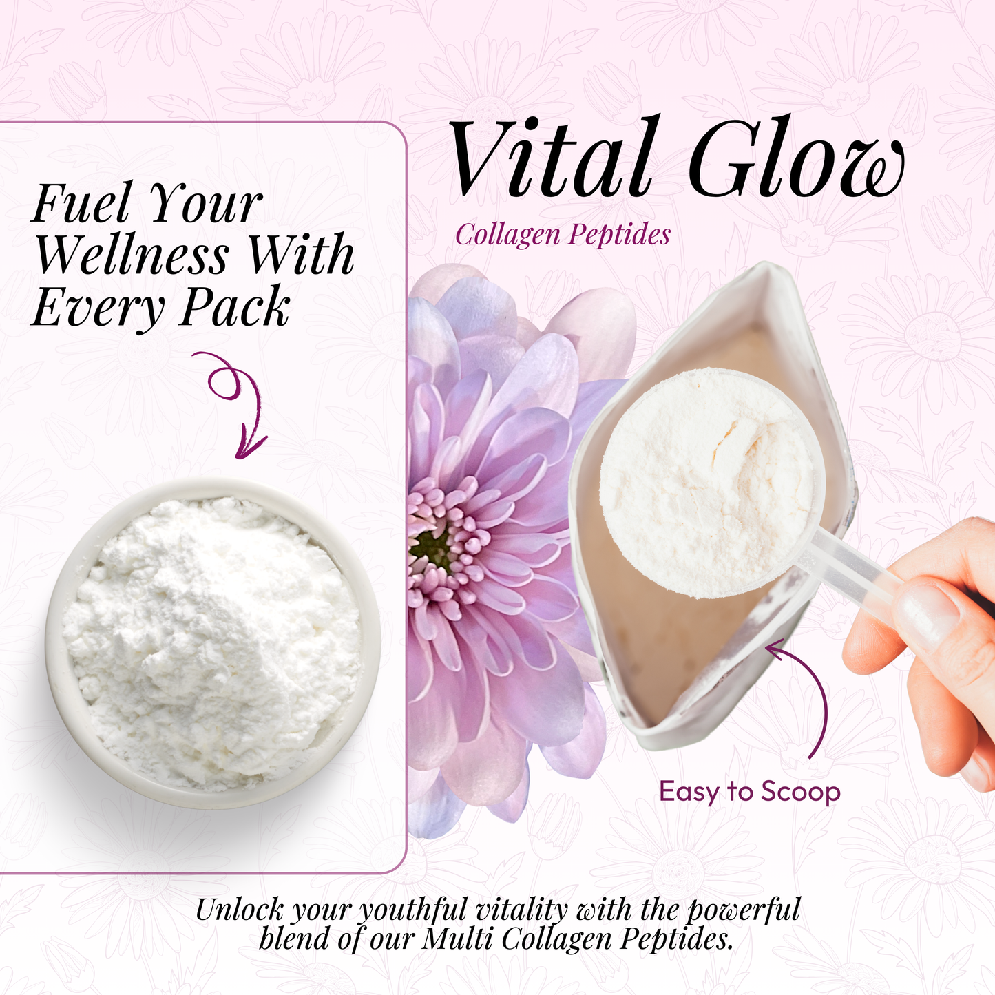 Multi Collagen Peptides